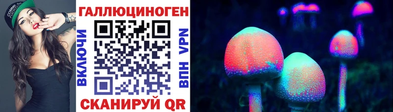 где купить   Ермолино  Псилоцибиновые грибы ЛСД 